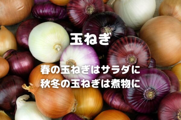 玉ねぎ 春の玉ねぎはサラダに 秋冬の玉ねぎは煮物に